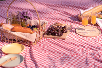 Picnic Lunch Meal Outdoors Park with food picnic basket. enjoying picnic time in park nature outdoor