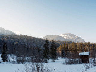 Suttensee im Rottachtal (Bayerischen Bergen). Langlaufloipe und Skigebiet in Landschaft aus schneebedeckten Wäldern und Mooren unterhalb von Risserkogel, Wallberg und Stümpfling 
