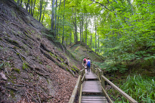 Wandern im Nationalpark Jasmund auf der Insel R&uuml;gen