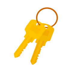 Bunch of Keys Icon isolated on white background. Vector iilustration