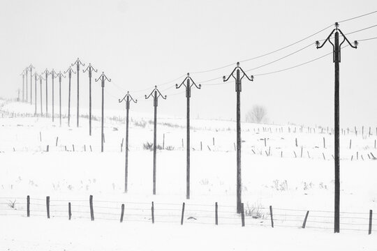 Un alignement de poteau de ligne téléphonique dans la neige en Aubrac - france