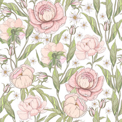 Digital hand-drawn floral seamless pattern. Peony garden - 572719014