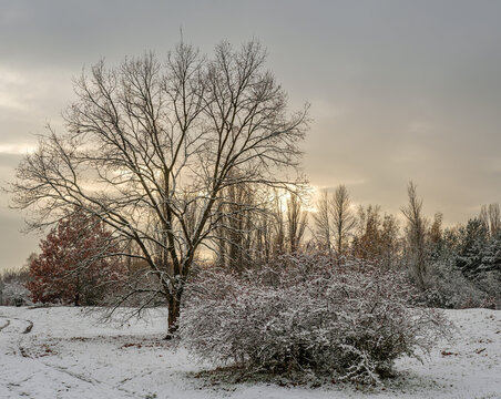 Winterlandschaft mit Schneewolken im Berliner Naturschutzgebiet "Biesenhorster Sand"