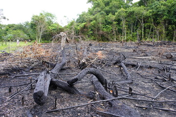 Destroyed tropical Amazon rainforest, Brazil. Image taken on February 14, 2023