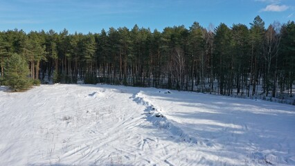 A plot of cut down pine forest in winter. Building site inside the forest. Preparing a site for the construction of buildings in the middle of the forest in winter.