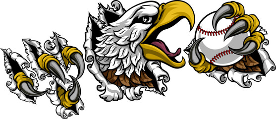 A bald eagle or hawk with claw talons holding a baseball ball and ripping or tearing through the background. Sports Mascot