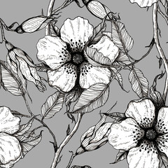 Dog rose, wild rose, floral seamless pattern. Ink pattern - 572722486
