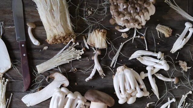 Various edible Asian mushrooms. Vegetables set. Dark photo natural light Flatly 