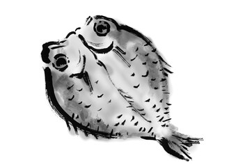 のどぐろの干物の描き筆書きイラスト　干し魚