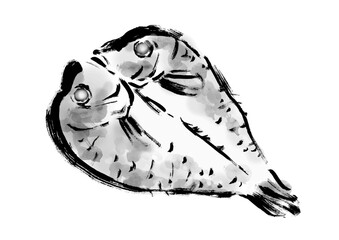 甘鯛の干物の描き筆書きイラスト　干し魚