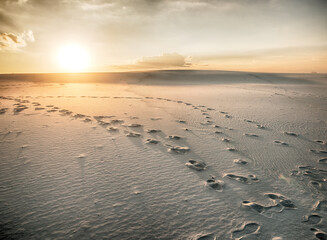 Footsteps footprints on sand dunes in desert at sunset