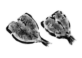 鯵のみりん干しの描き筆書きイラスト　干物