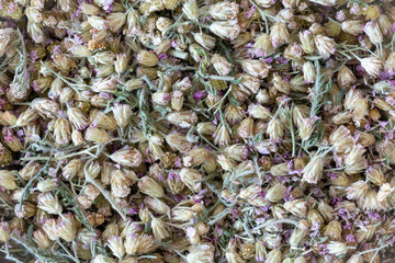 Dried yarrow herb background, top view, Achillea millefolium, macro texture.