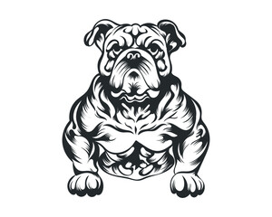 Black and White body builder Bulldog vector illustration, body builder dog vector