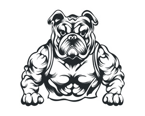 Black and White body builder Bulldog vector illustration, body builder dog vector