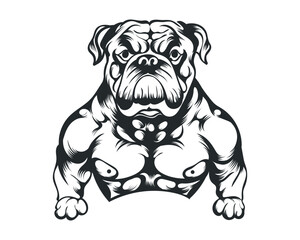 Black and White body builder Bulldog vector illustration, body builder dog vector