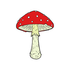 Fly mushroom. Amanita muscaria. Vector illustration. Sketch.