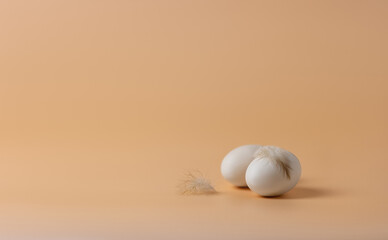 two chicken eggs with feathers on a peach background. Soft focus.