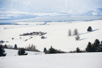 Views from city Liptovsky Mikulas to West Tatras in winter time with snowy trees  and cloudy sky. Liptov region, Slovakia. Winter trees background.