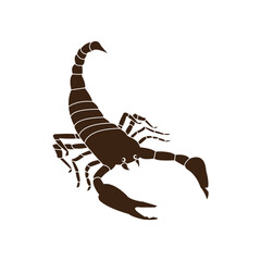 scorpion icon