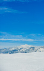 Views from city Liptovsky Mikulas to West Tatras in winter time with snowy trees  and cloudy sky. Liptov region, Slovakia. Winter trees background.