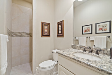 A large master bathroom with white accenting 