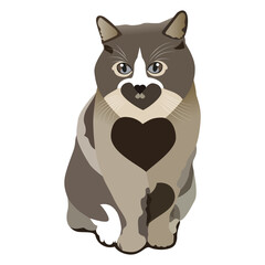 Lovely Cat Drawing, a beautiful cat design template. 
