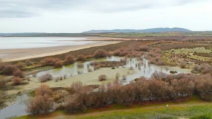 Obraz premium Laguna de fuente de Piedra , humedal de paso de aves migratorias desde África a Europa .
