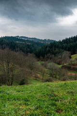 Wolkenverhangene Berglandschaft mit kahlen Bäumen und grüner Wiese