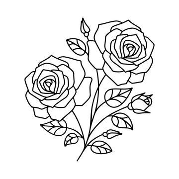 Vector image of a rose branch

