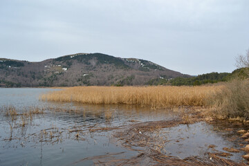 Abant Lake, Bolu. An autumn landscape full of reeds. Wooden bridges and piers.