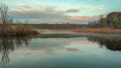 Paysage aux couleurs de l'automne avec un étang et de la brume 