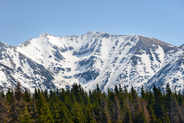 Beautiful view of the snowy mountains with blue sky , no clouds during day in the spring. Spring meadow with snow and knee-timber. West Tatras, Slovakia, Liptovsky Mikulas.