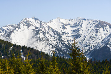 Beautiful view of the snowy mountains with blue sky , no clouds during day in the spring. Spring meadow with snow and knee-timber. West Tatras, Slovakia, Liptovsky Mikulas.