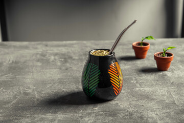 ceramic yerba mate cup with bombilla and tiny terracotta pots in the background