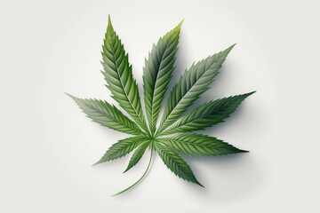 Fototapeta na wymiar cannabis leaf on white background photorealistic made by generative ai
