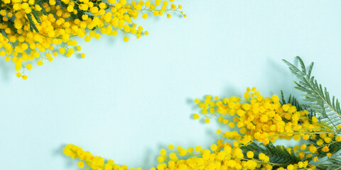 Obraz na płótnie Canvas Flowers spring composition. Frame made of mimosa flowers on blue background. Easter, Women's day concept. banner