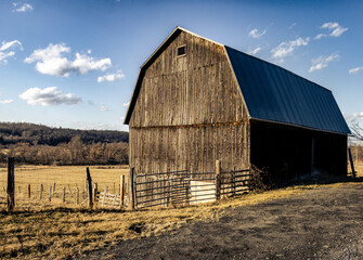 Obraz premium old barn in the field