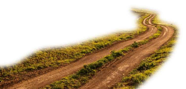 path through the grass