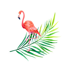 Pink flamingo and palm branch. Watercolor illustration. Interior painting. Tropical birds. Exotic birds.