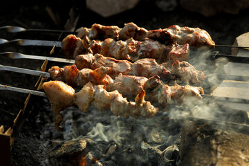 fried pork kebab on skewers. charcoal grill in nature