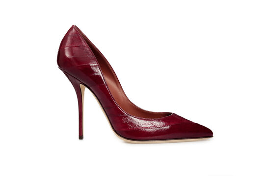 Burgundy leather pointy toe women's shoe with high heels isolated on white background. Female classic glossy stiletto heels. Single. Mock up, template