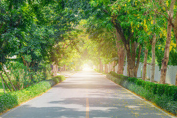 green road in modern city tree plant around the street for absorb carbon dioxide and good driving...