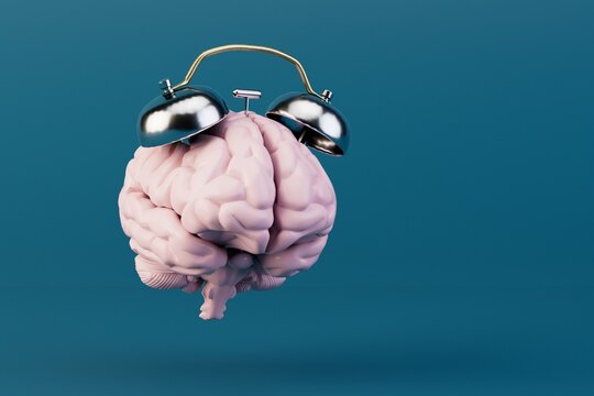 the concept of a biological clock. brain with an alarm clock on a turquoise background. 3D render