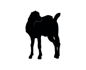 Vector flat goat silhouette isolated on white background