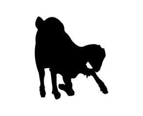 Vector flat goat silhouette isolated on white background