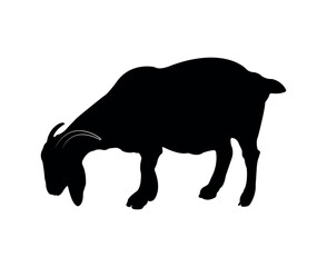 Vector flat goat silhouette isolated on white background