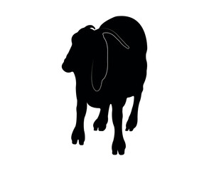 Vector flat goat silhouette isolated on white background