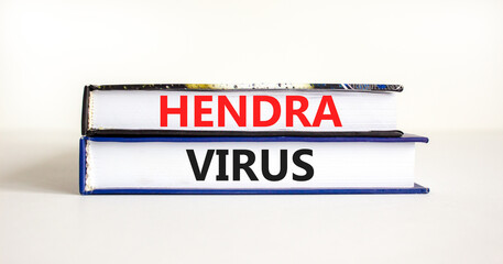 Hendra virus symbol. Concept words Hendra virus on books. Beautiful white table white background. Medical hendra virus concept. Copy space.