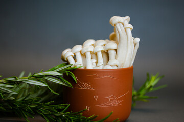 Fresh raw white shimiji shimeji mushrooms in brown bowl and rosemary Hypsizygus tessulatus mushroom native to East Asia Vegetarian vegan healthy food photo Beech mushroom still life Cooking on kitchen